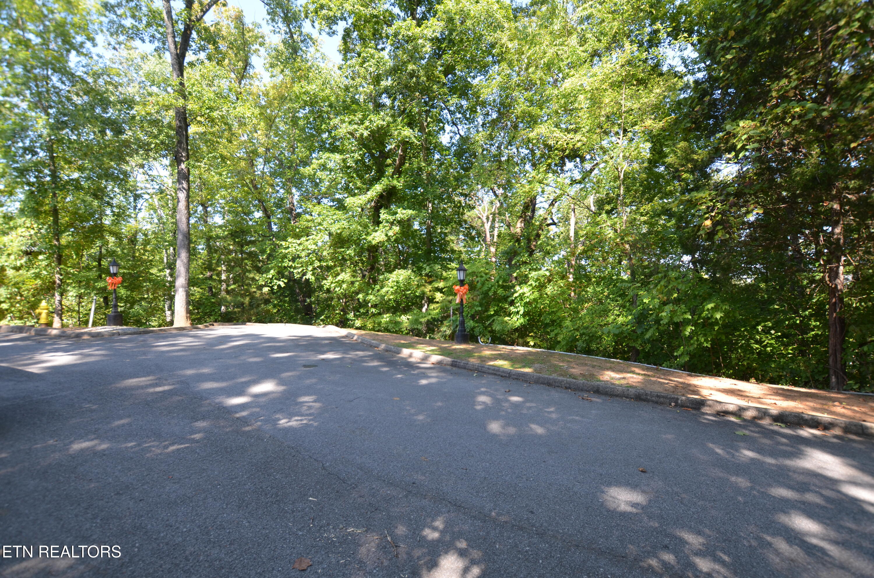 Hawks Nest Way Sevierville TN 37862