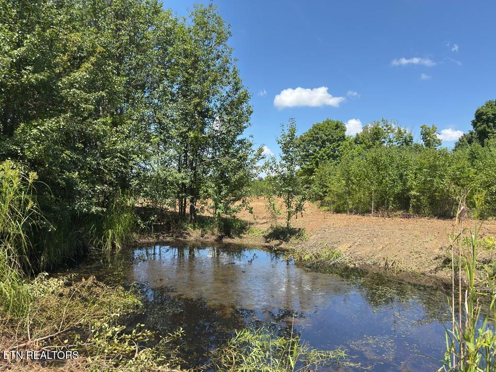 00 Marcrom Road Morrison TN 37357