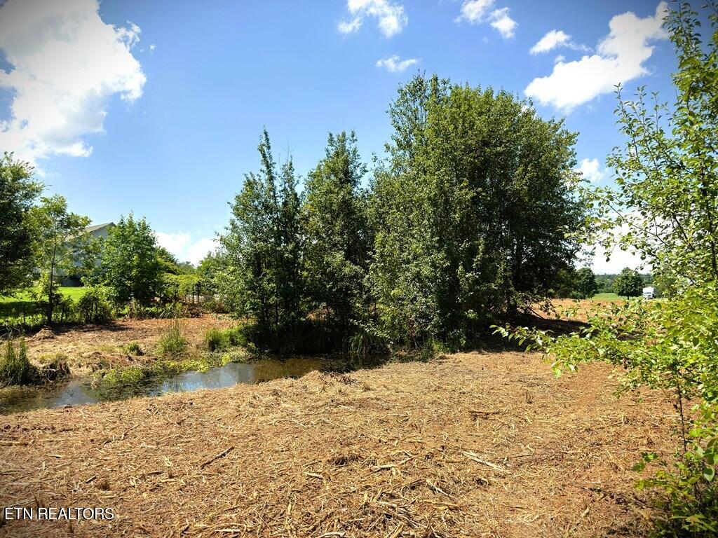 00 Marcrom Road Morrison TN 37357
