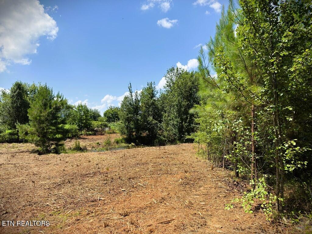 00 Marcrom Road Morrison TN 37357