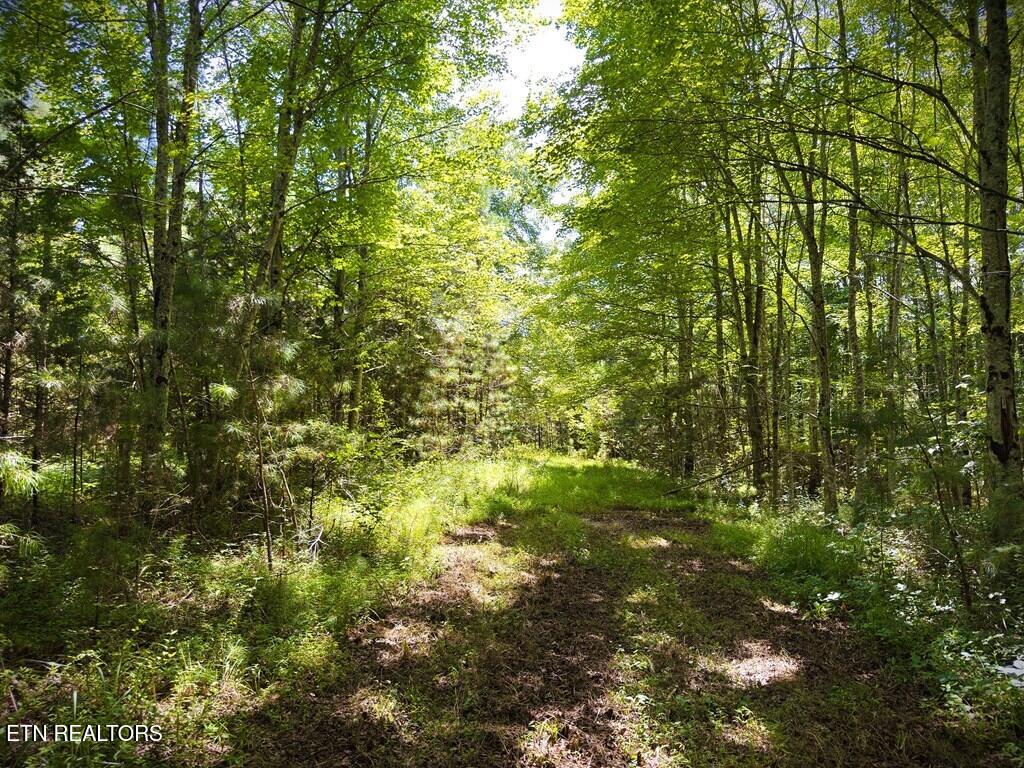 00 Marcrom Road Morrison TN 37357