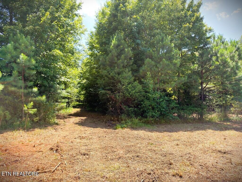 00 Marcrom Road Morrison TN 37357