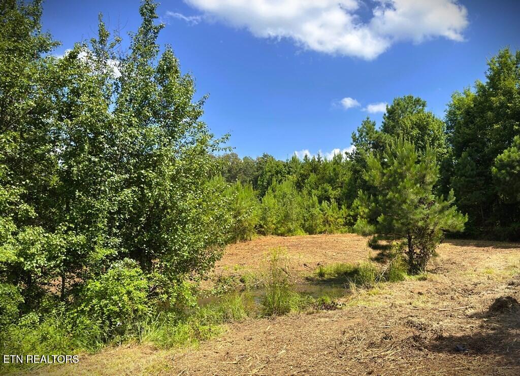 00 Marcrom Road Morrison TN 37357