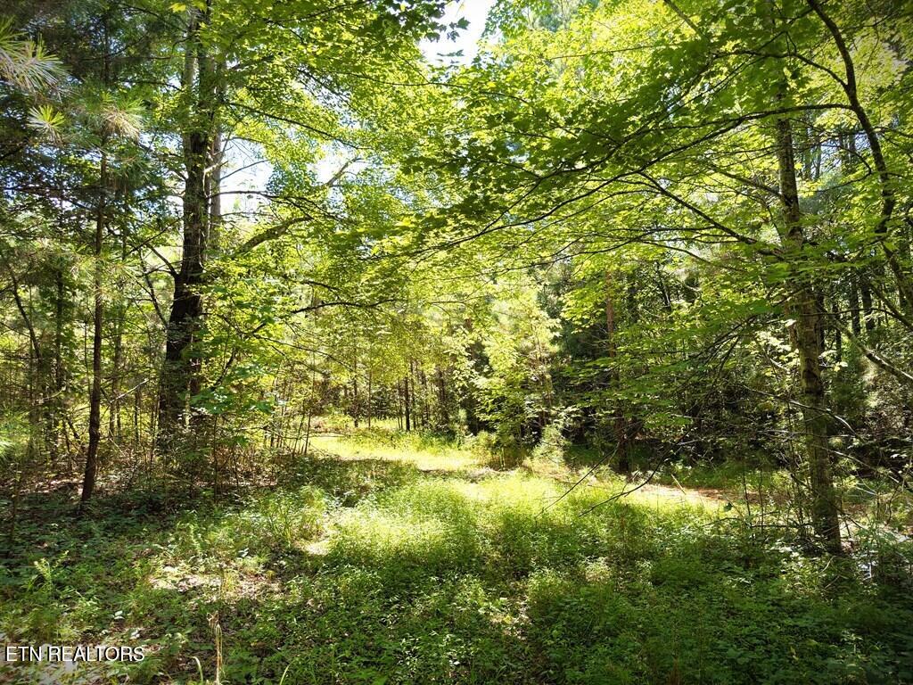 00 Marcrom Road Morrison TN 37357