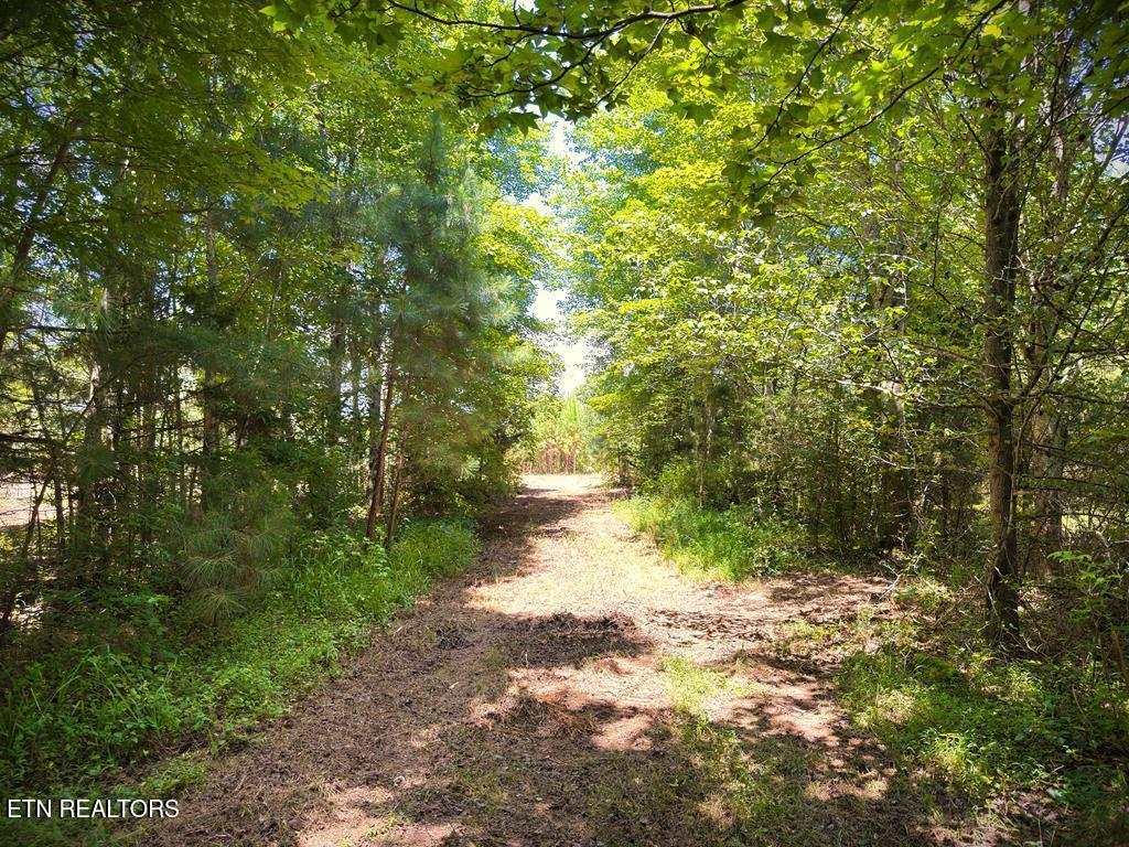 00 Marcrom Road Morrison TN 37357