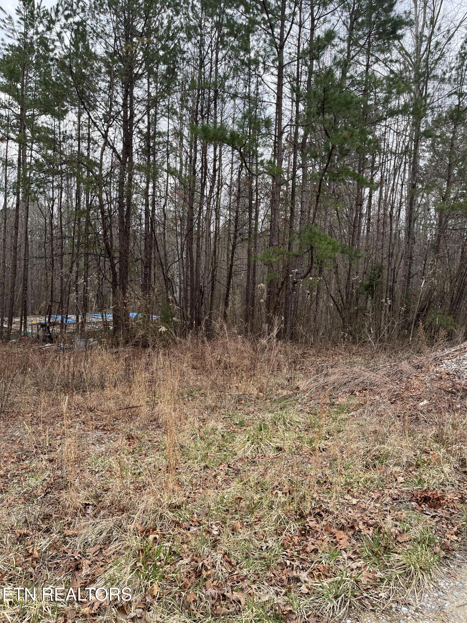 408 Veterans Lookout Wilder TN 38589