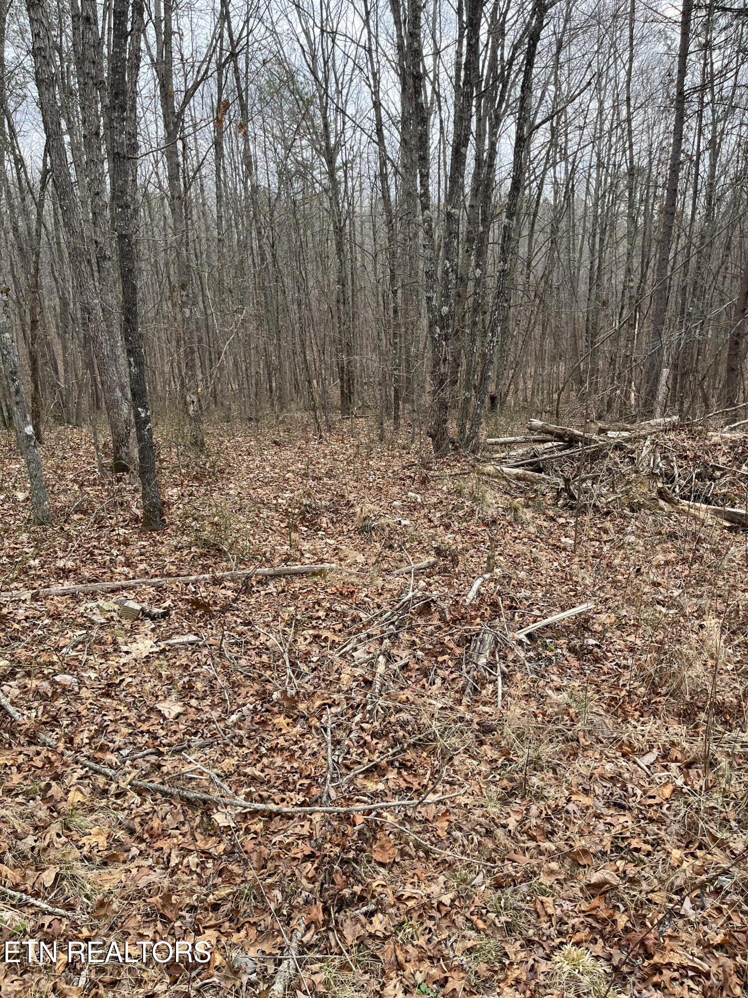 408 Veterans Lookout Wilder TN 38589