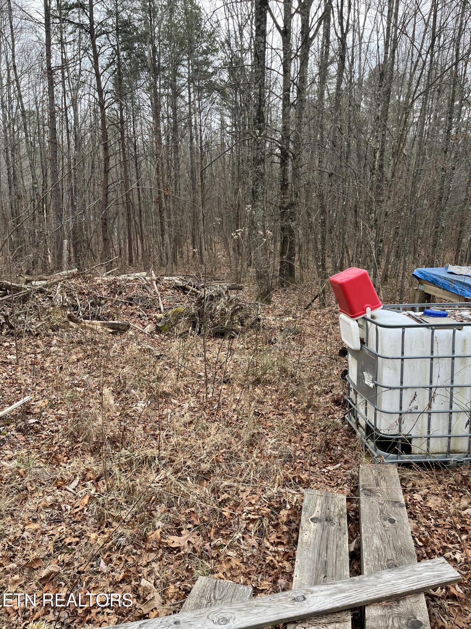 408 Veterans Lookout Wilder TN 38589