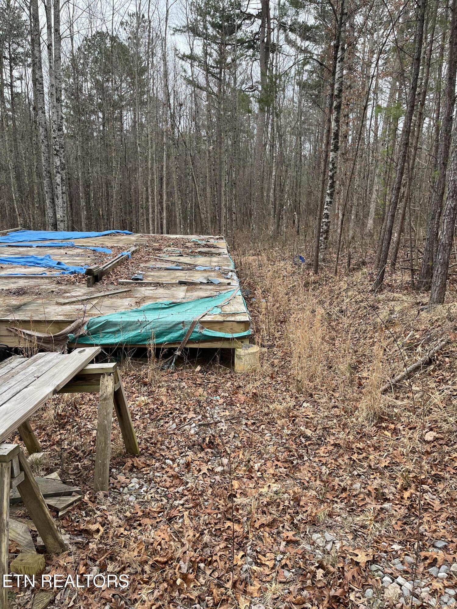 408 Veterans Lookout Wilder TN 38589