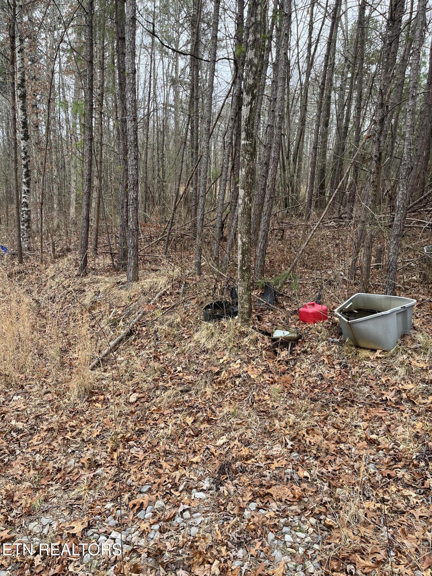 408 Veterans Lookout Wilder TN 38589