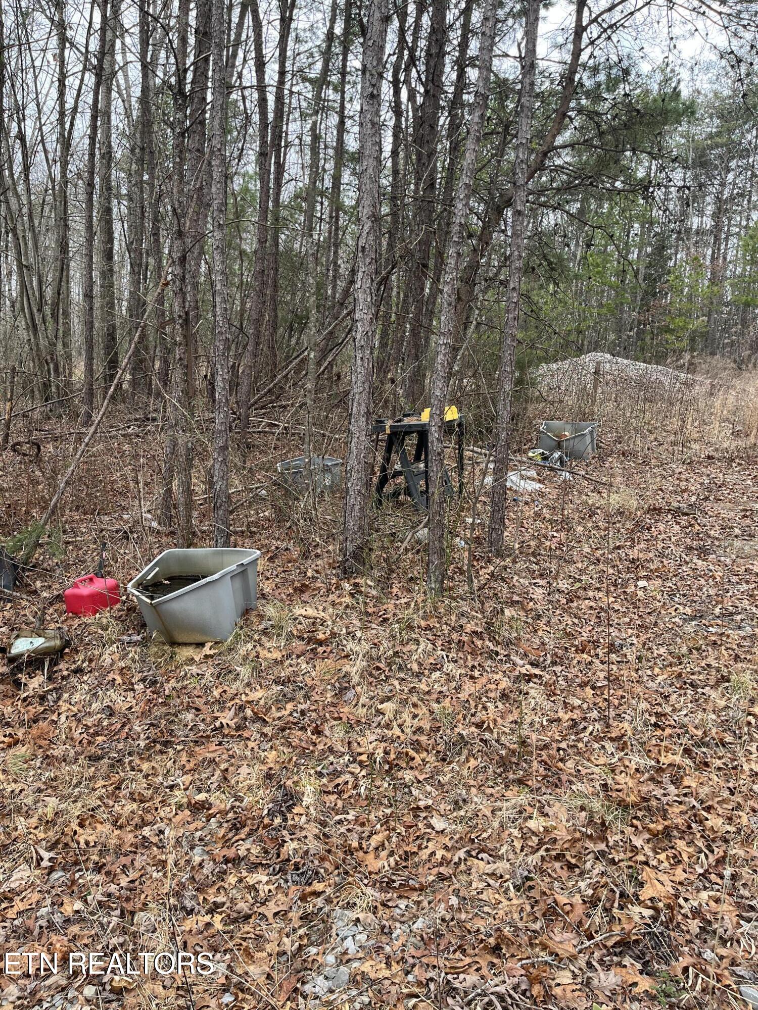 408 Veterans Lookout Wilder TN 38589