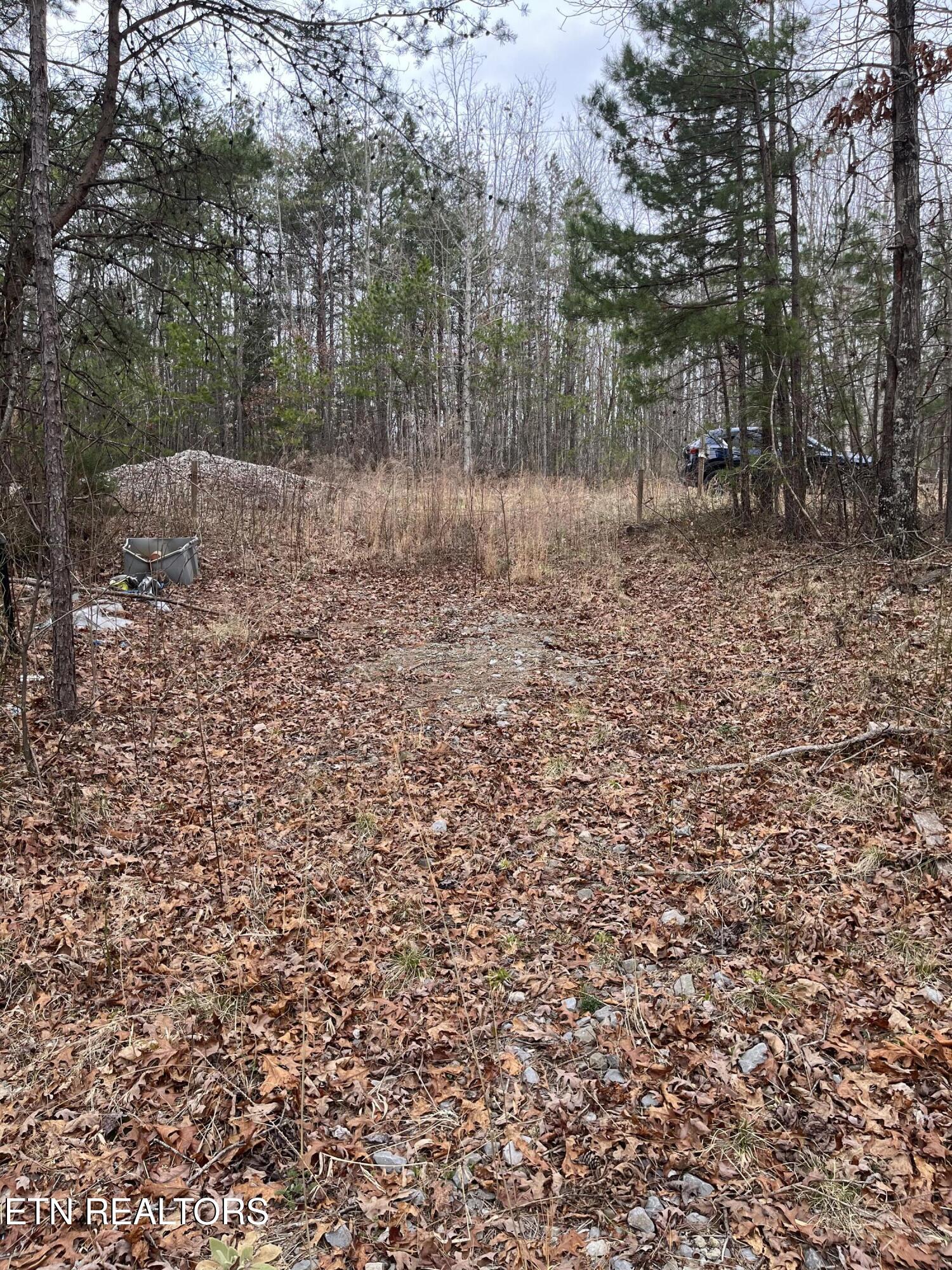408 Veterans Lookout Wilder TN 38589