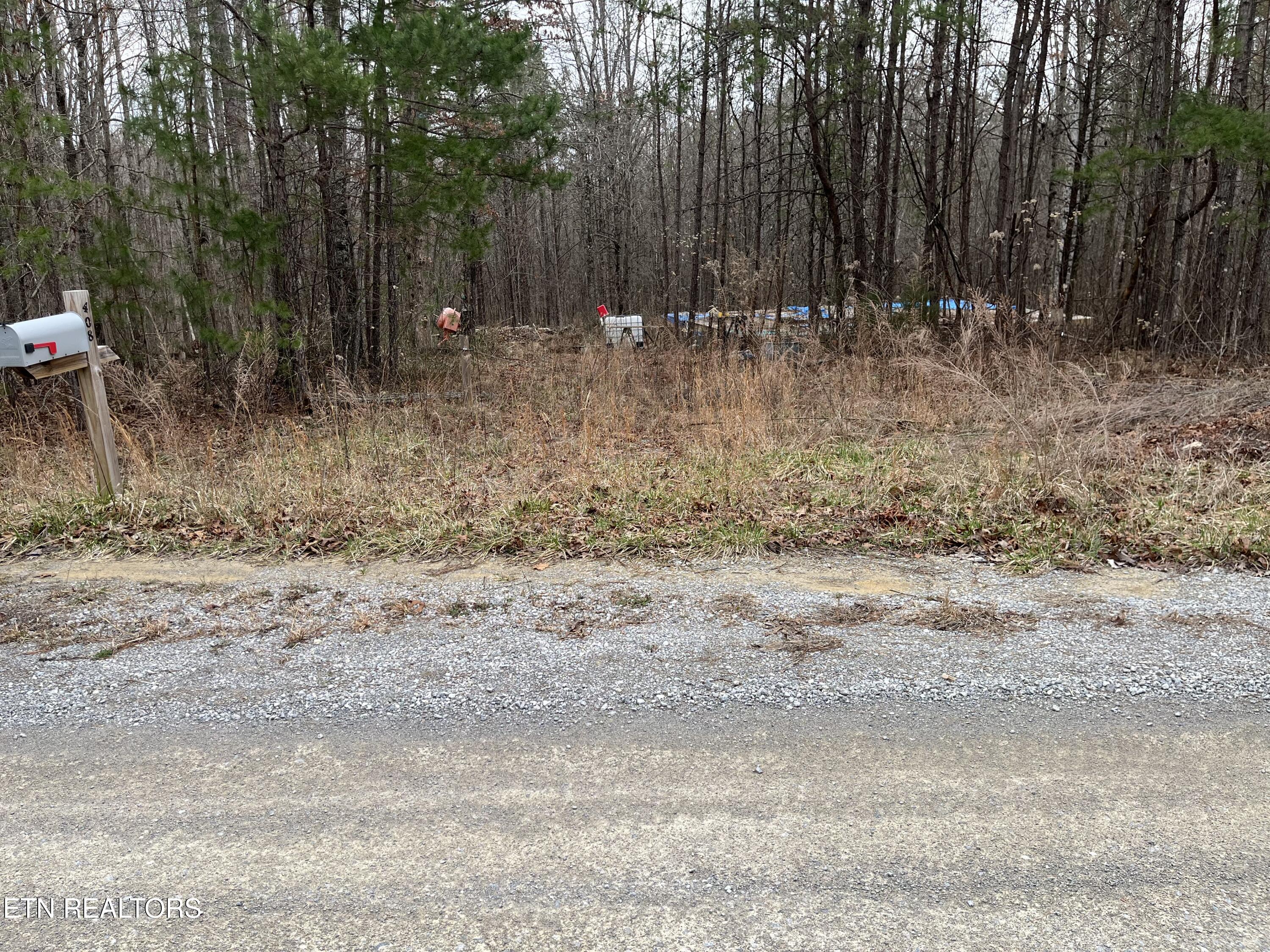 408 Veterans Lookout Wilder TN 38589