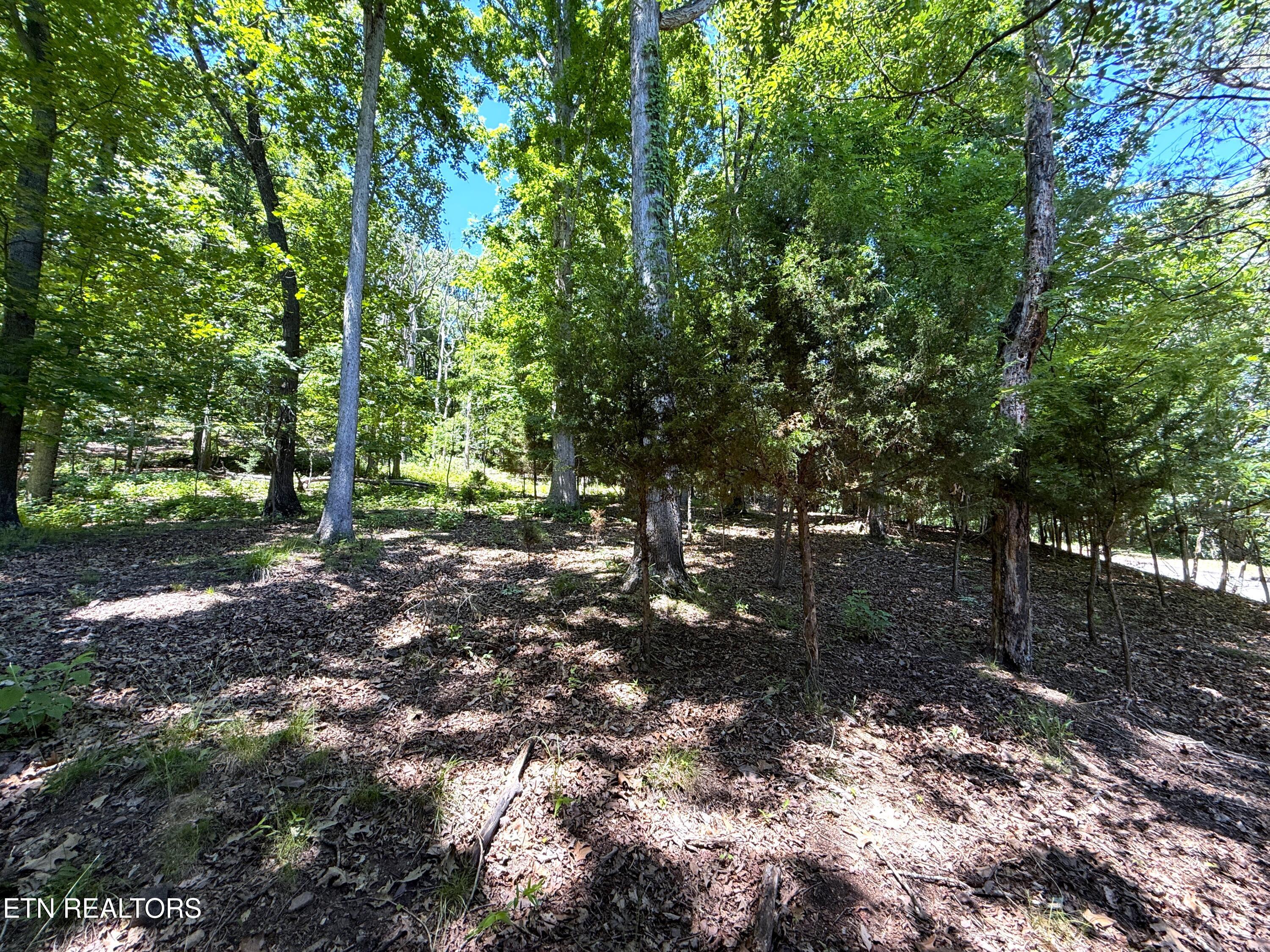Harbor View Mooresburg TN 37811