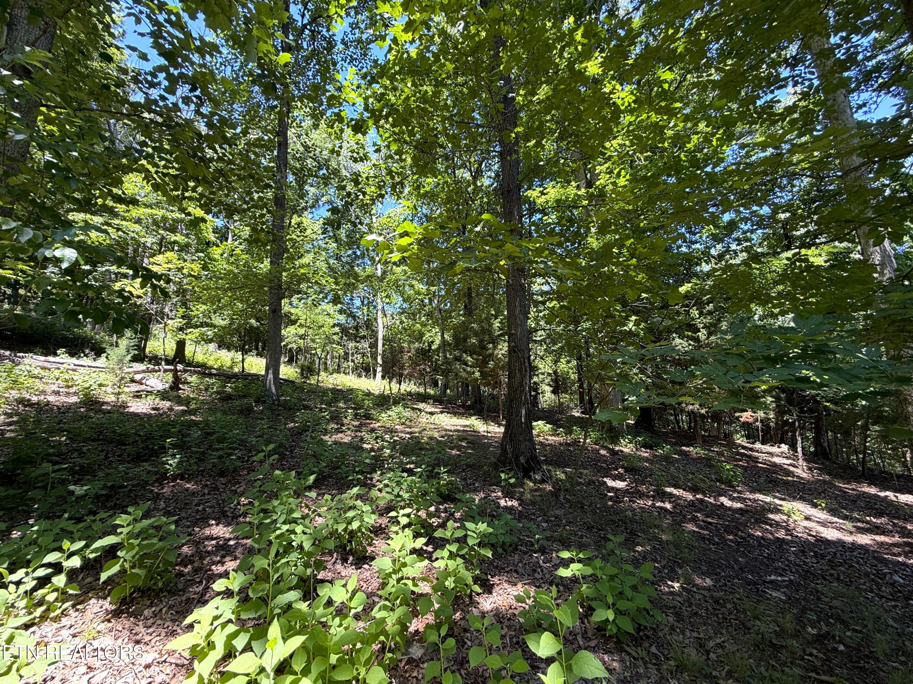 Harbor View Mooresburg TN 37811