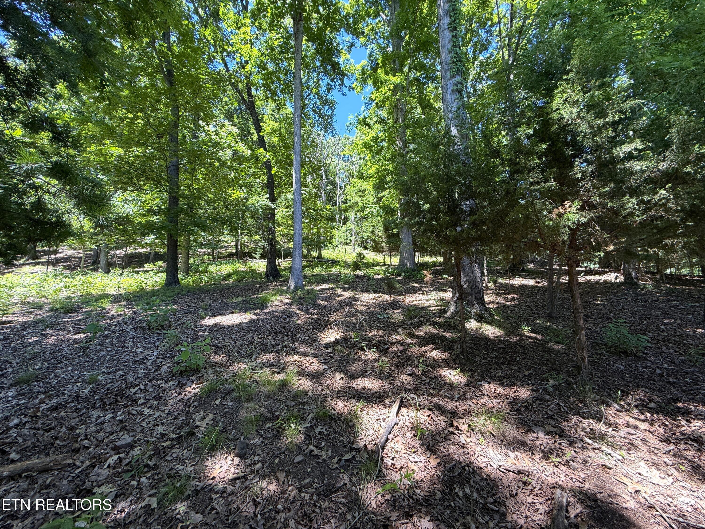 Harbor View Mooresburg TN 37811