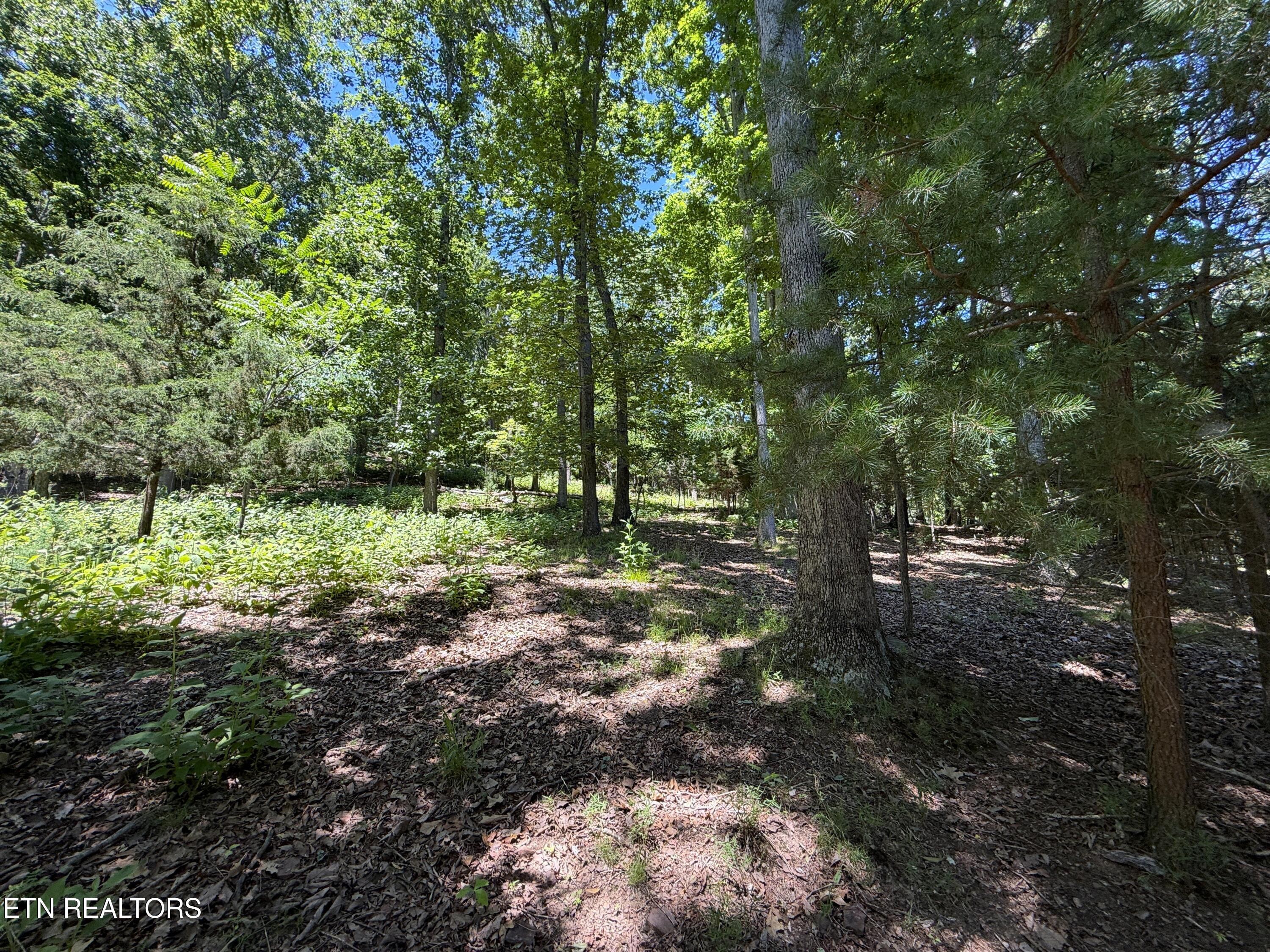 Harbor View Mooresburg TN 37811