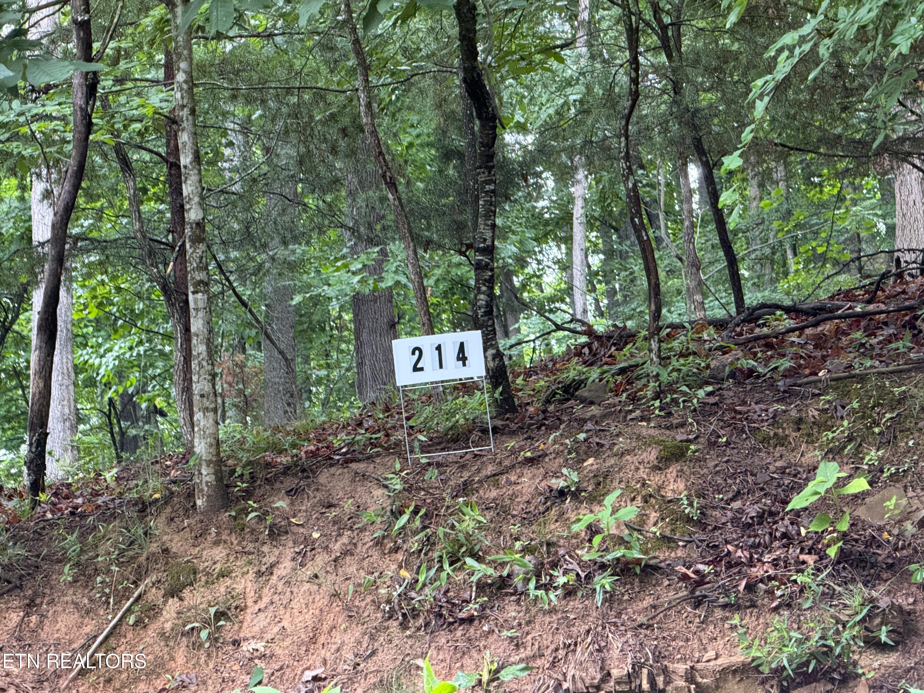 Harbor View Mooresburg TN 37811