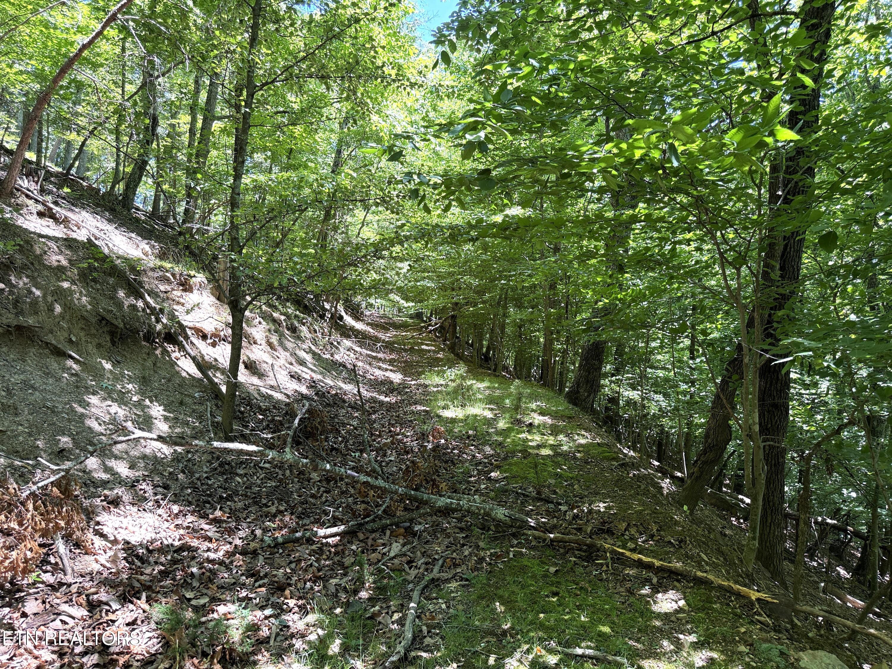 Harbor View Mooresburg TN 37811