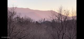 2341 Jims Way Sevierville TN 37876