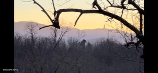 2341 Jims Way Sevierville TN 37876