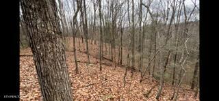 2341 Jims Way Sevierville TN 37876