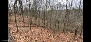 2341 Jims Way Sevierville TN 37876