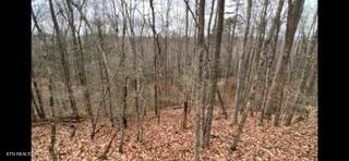 2341 Jims Way Sevierville TN 37876
