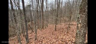 2341 Jims Way Sevierville TN 37876