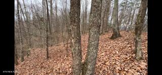 2341 Jims Way Sevierville TN 37876