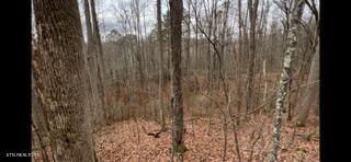 2341 Jims Way Sevierville TN 37876
