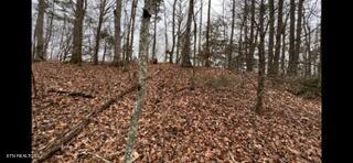 2341 Jims Way Sevierville TN 37876