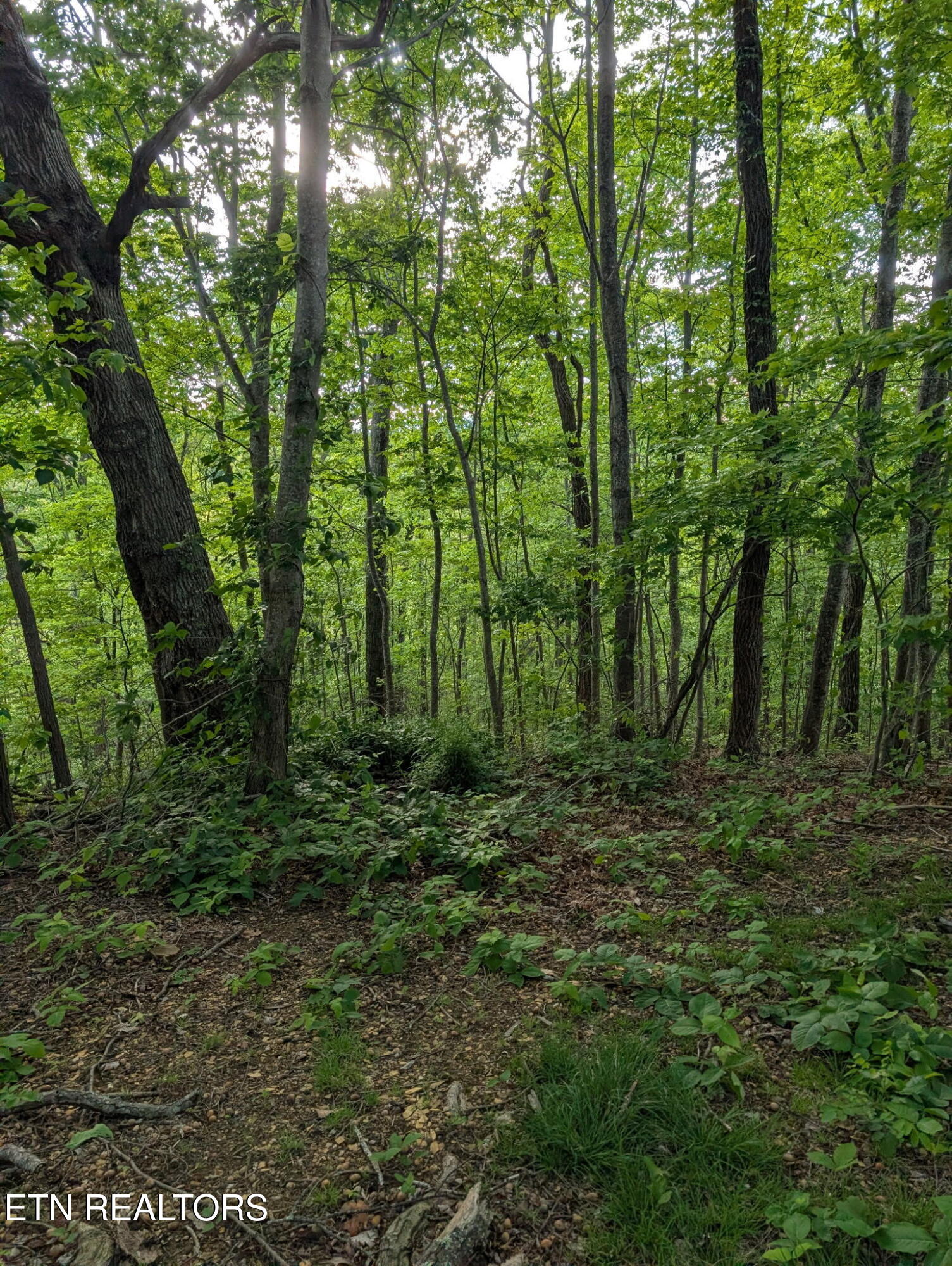 2341 Jims Way Sevierville TN 37876