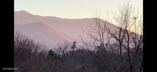 2341 Jims Way Sevierville TN 37876