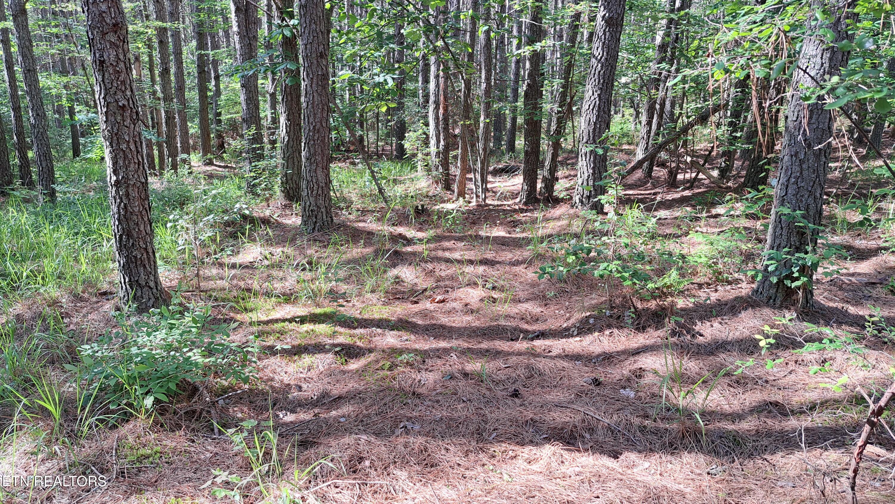 152 Sunset View Lane Rockwood TN 37854
