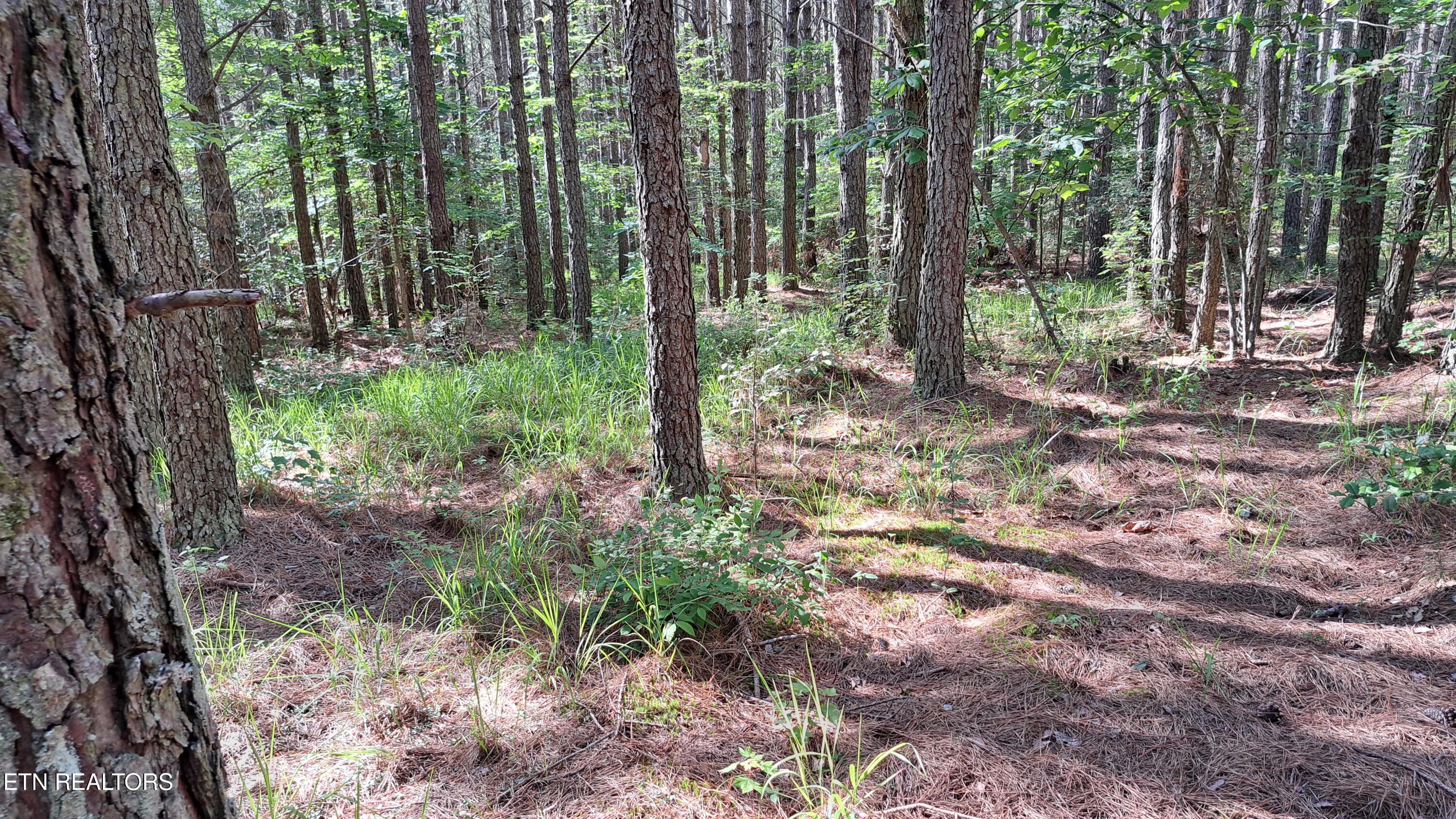 152 Sunset View Lane Rockwood TN 37854