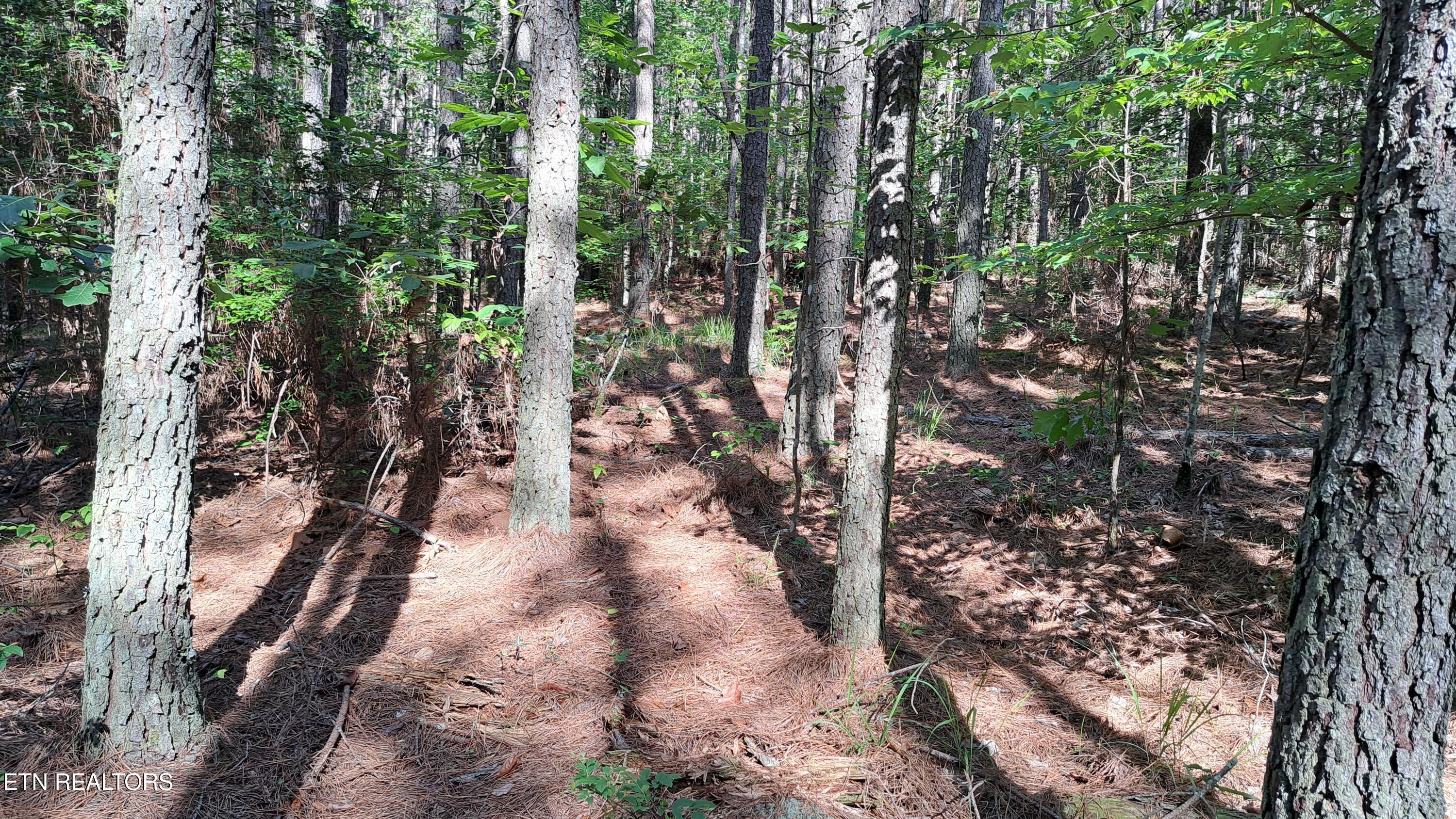 152 Sunset View Lane Rockwood TN 37854