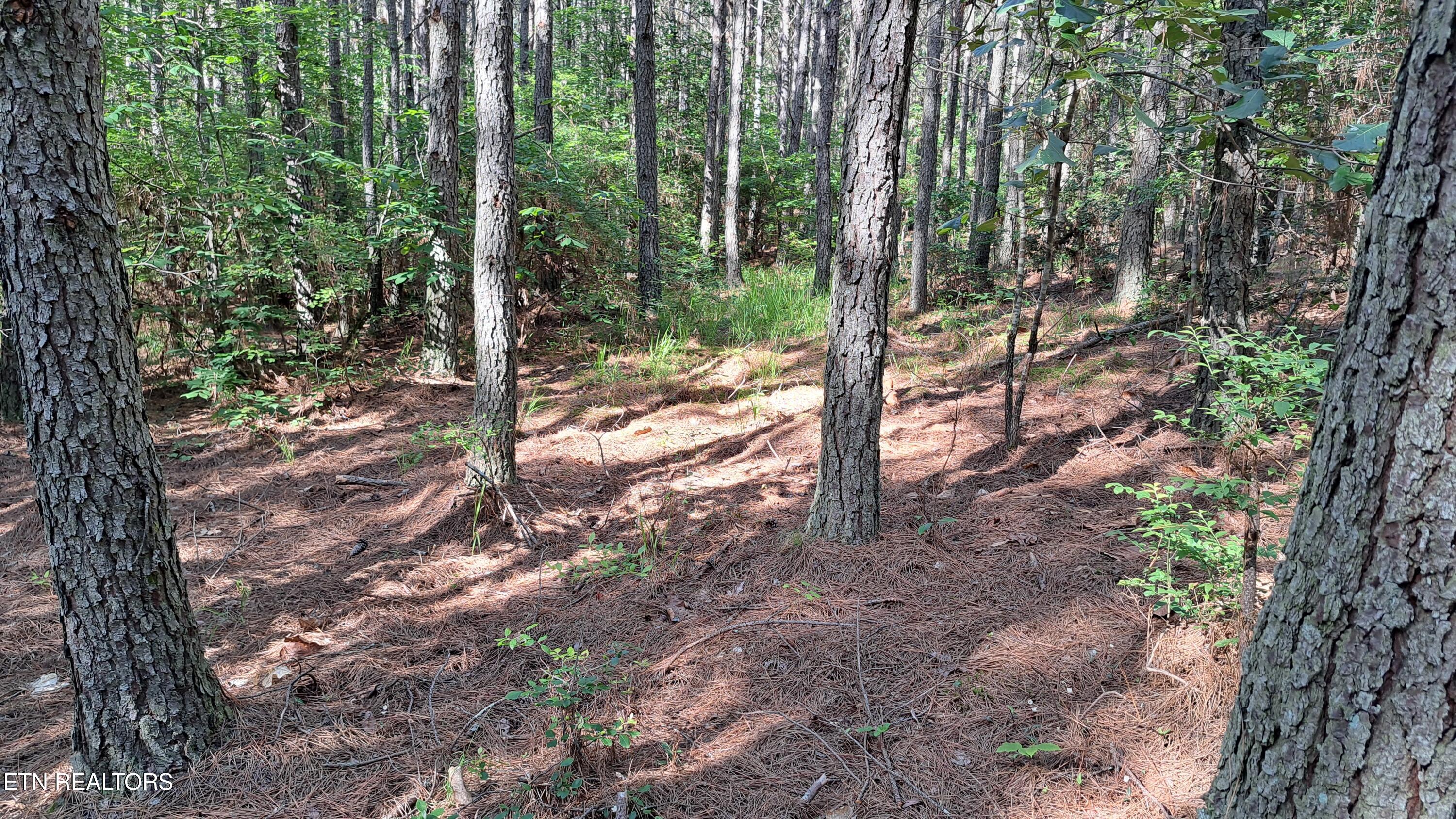 152 Sunset View Lane Rockwood TN 37854