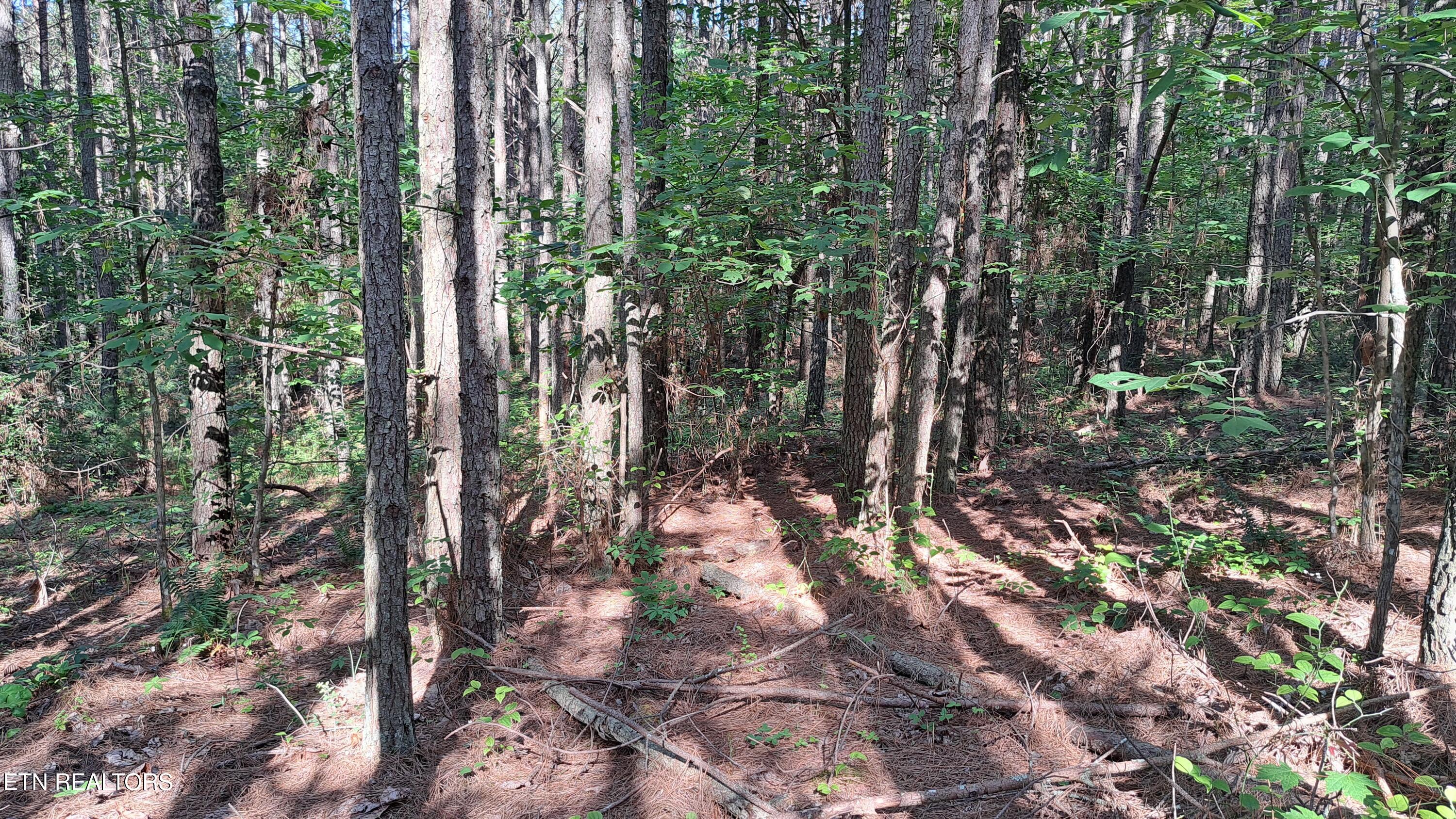 152 Sunset View Lane Rockwood TN 37854