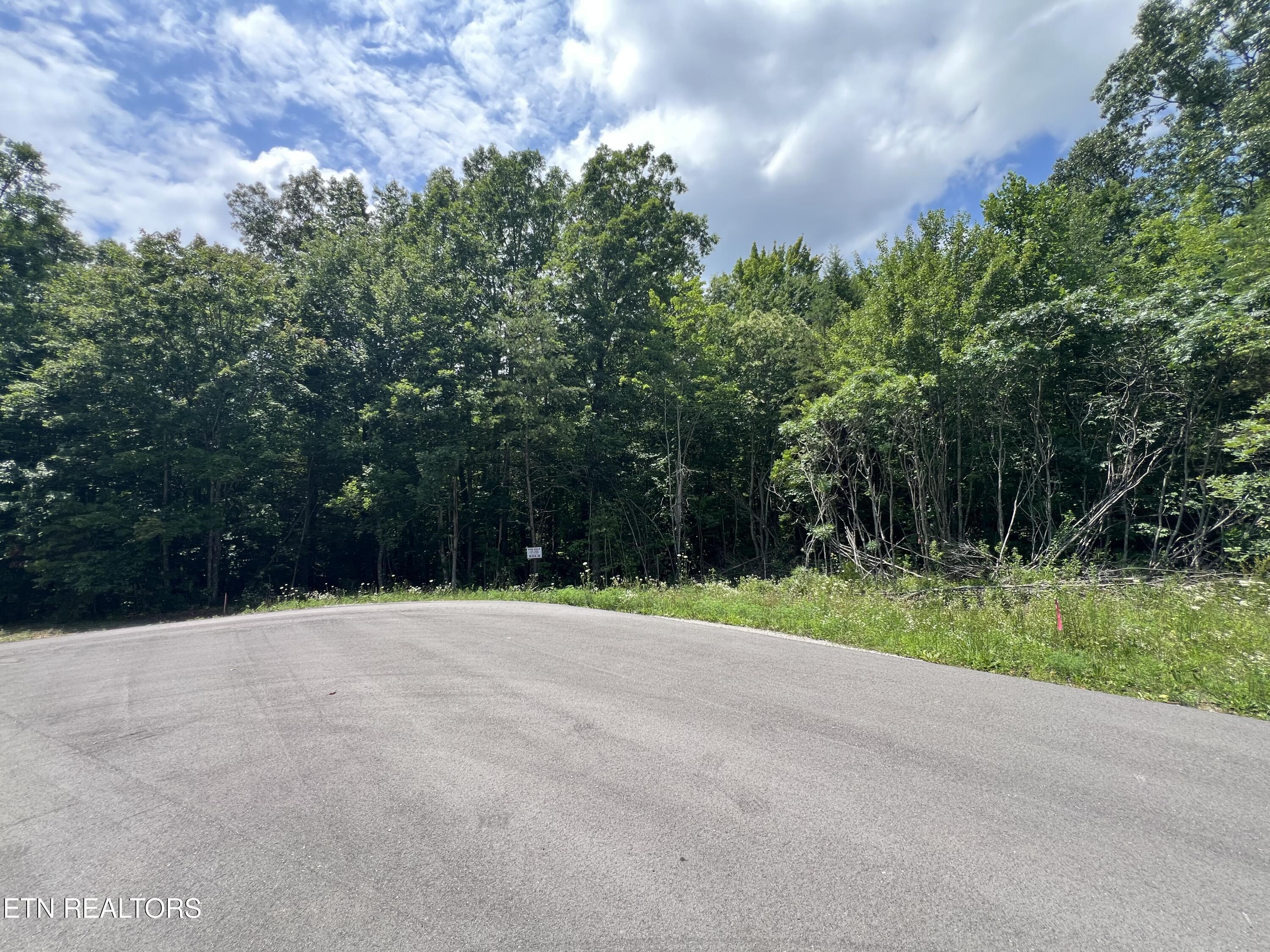 Lot 200 Elzies Way Grimsley TN 38565