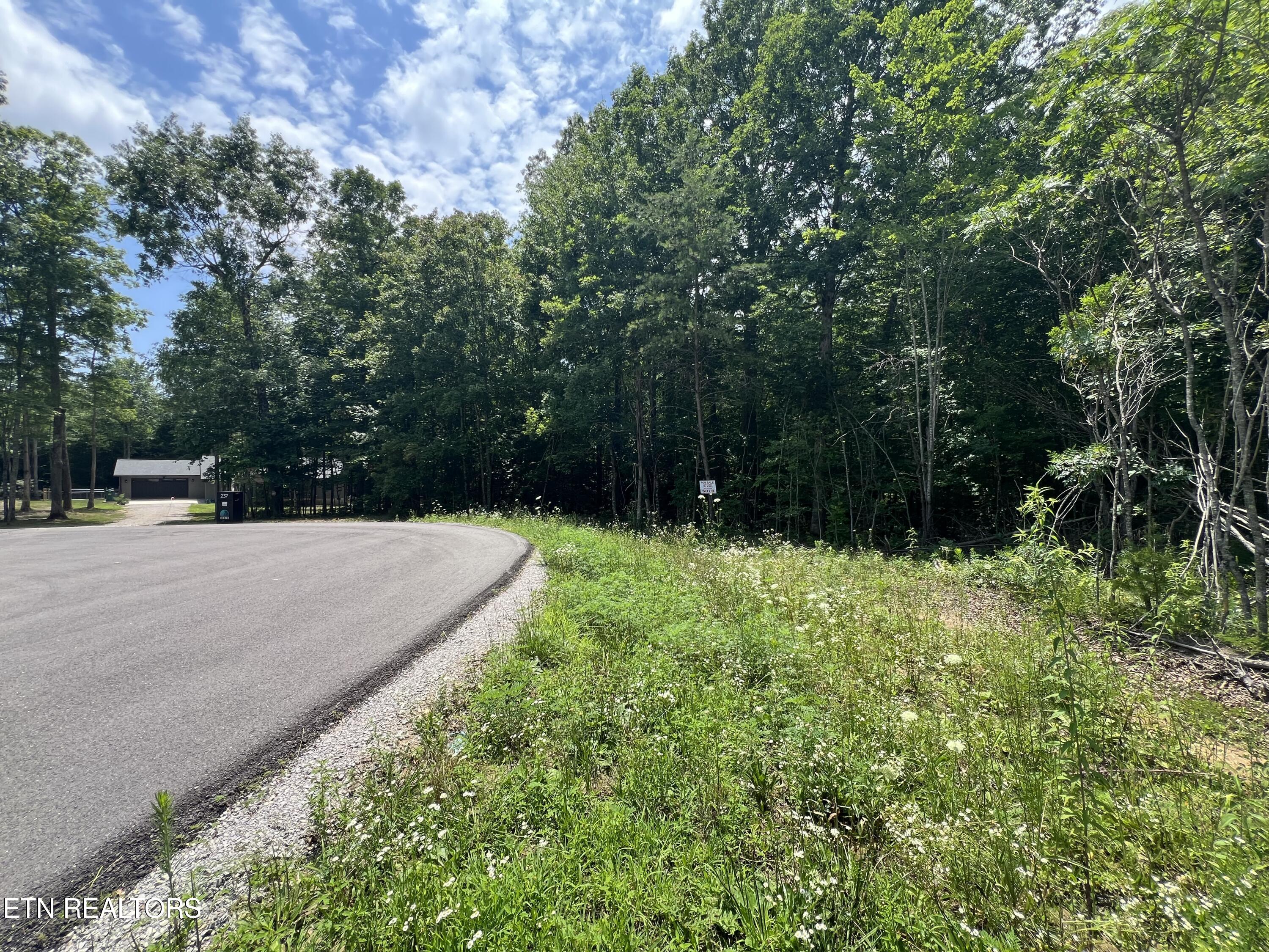 Lot 200 Elzies Way Grimsley TN 38565