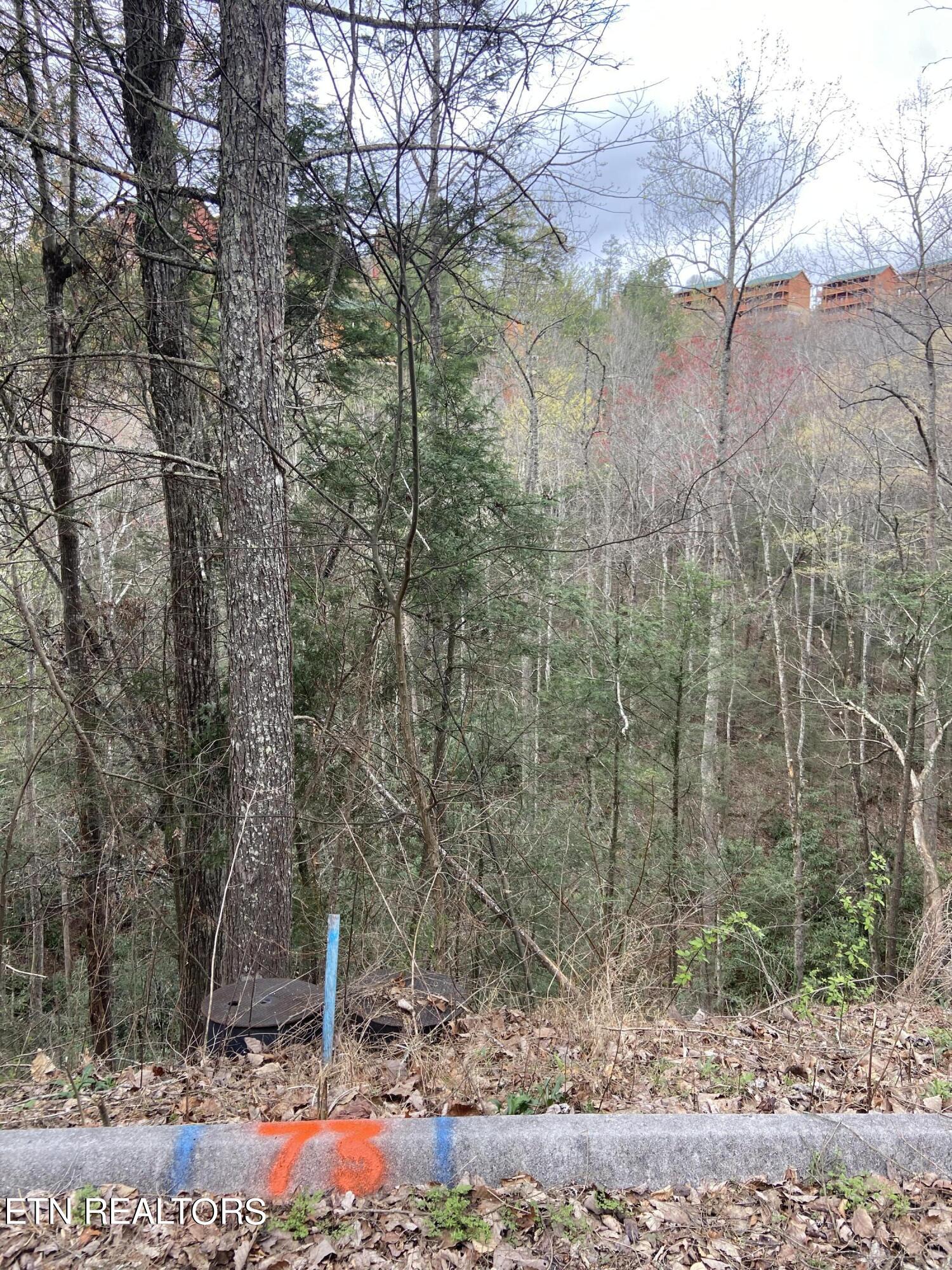 Lot 73 Smoky Ridge Way Sevierville TN 37862