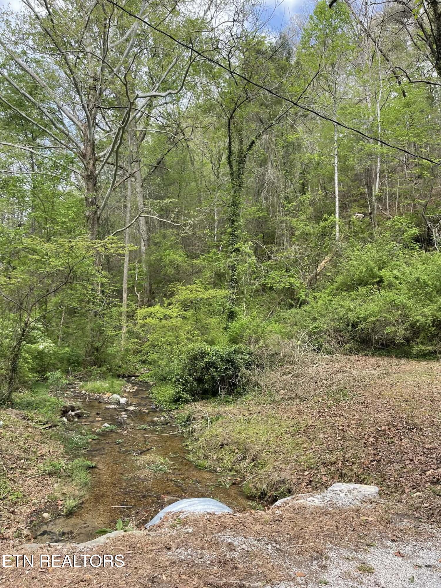 1573 Demory Road Lafollette TN 37766