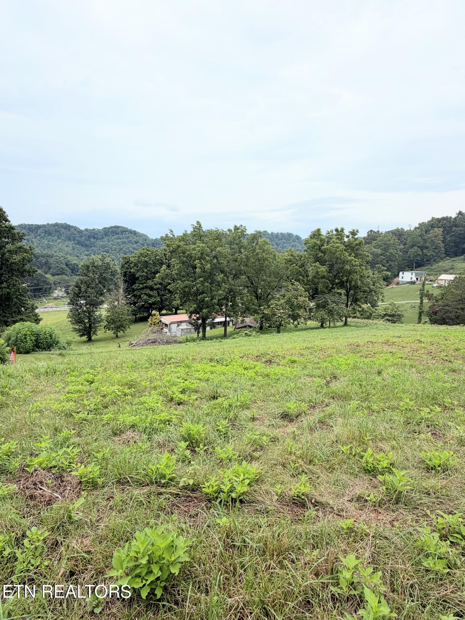 Pine Crest Drive Maynardville TN 37807