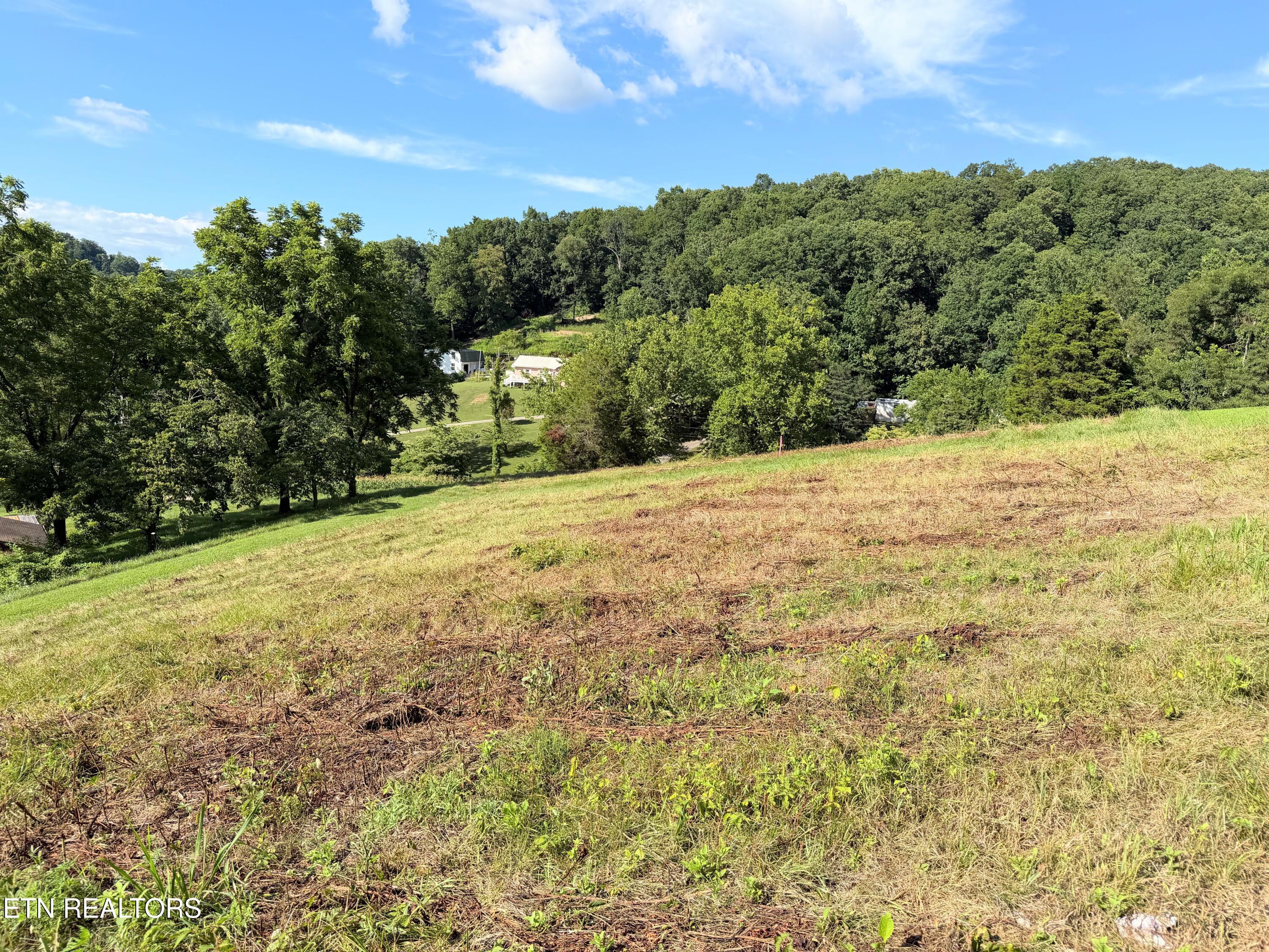 Pine Crest Drive Maynardville TN 37807