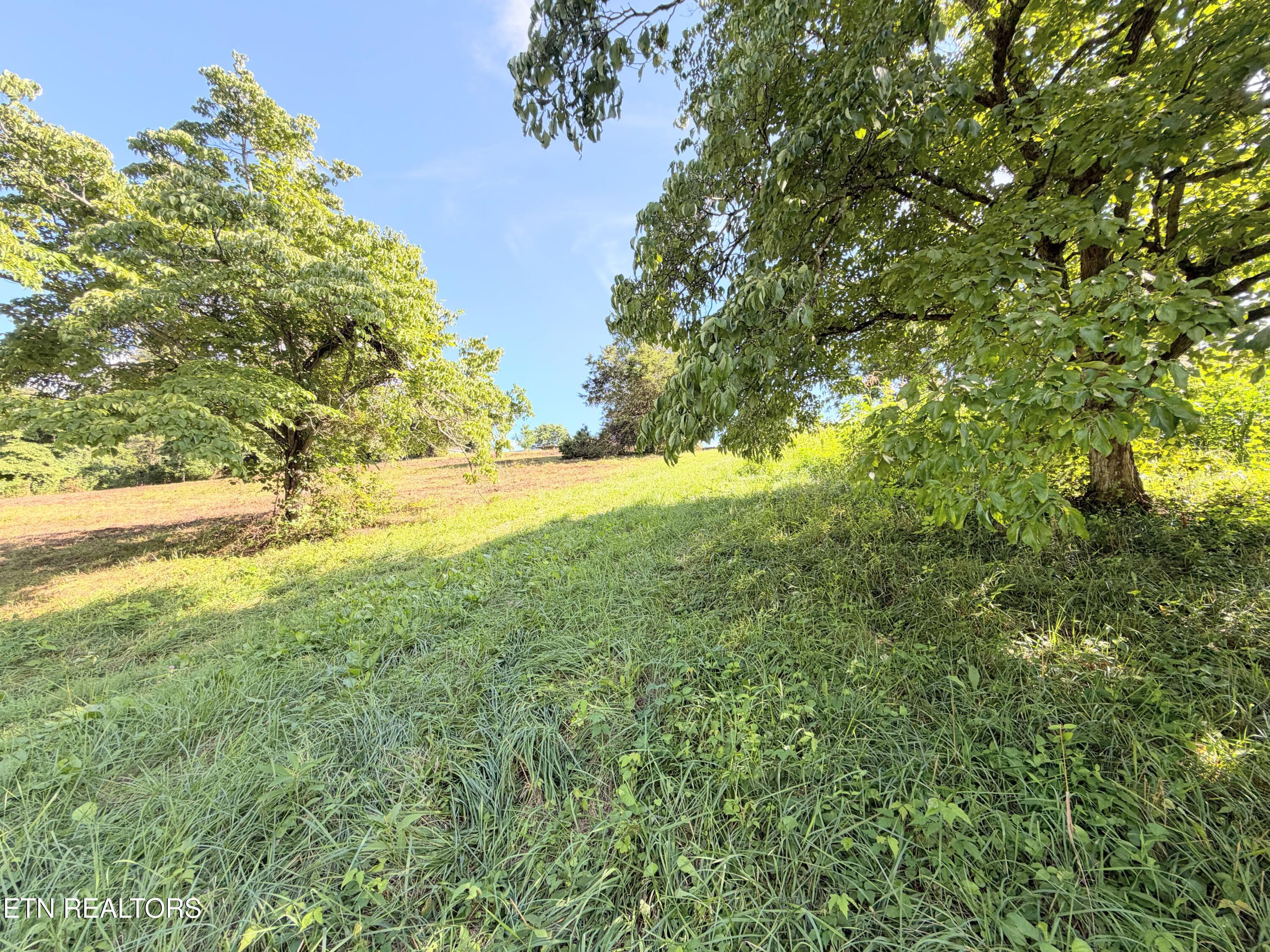 Pine Crest Drive Maynardville TN 37807