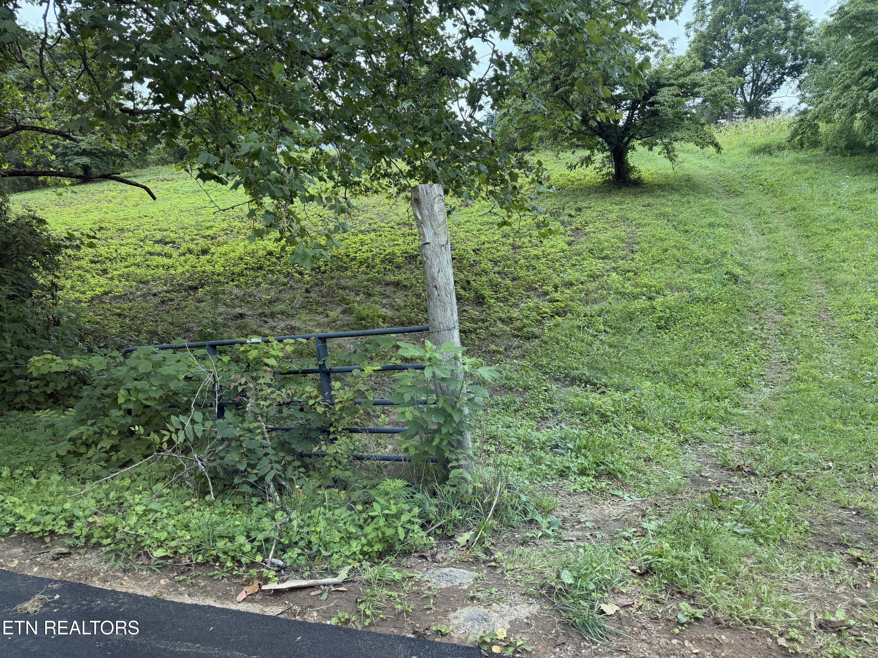 Pine Crest Drive Maynardville TN 37807