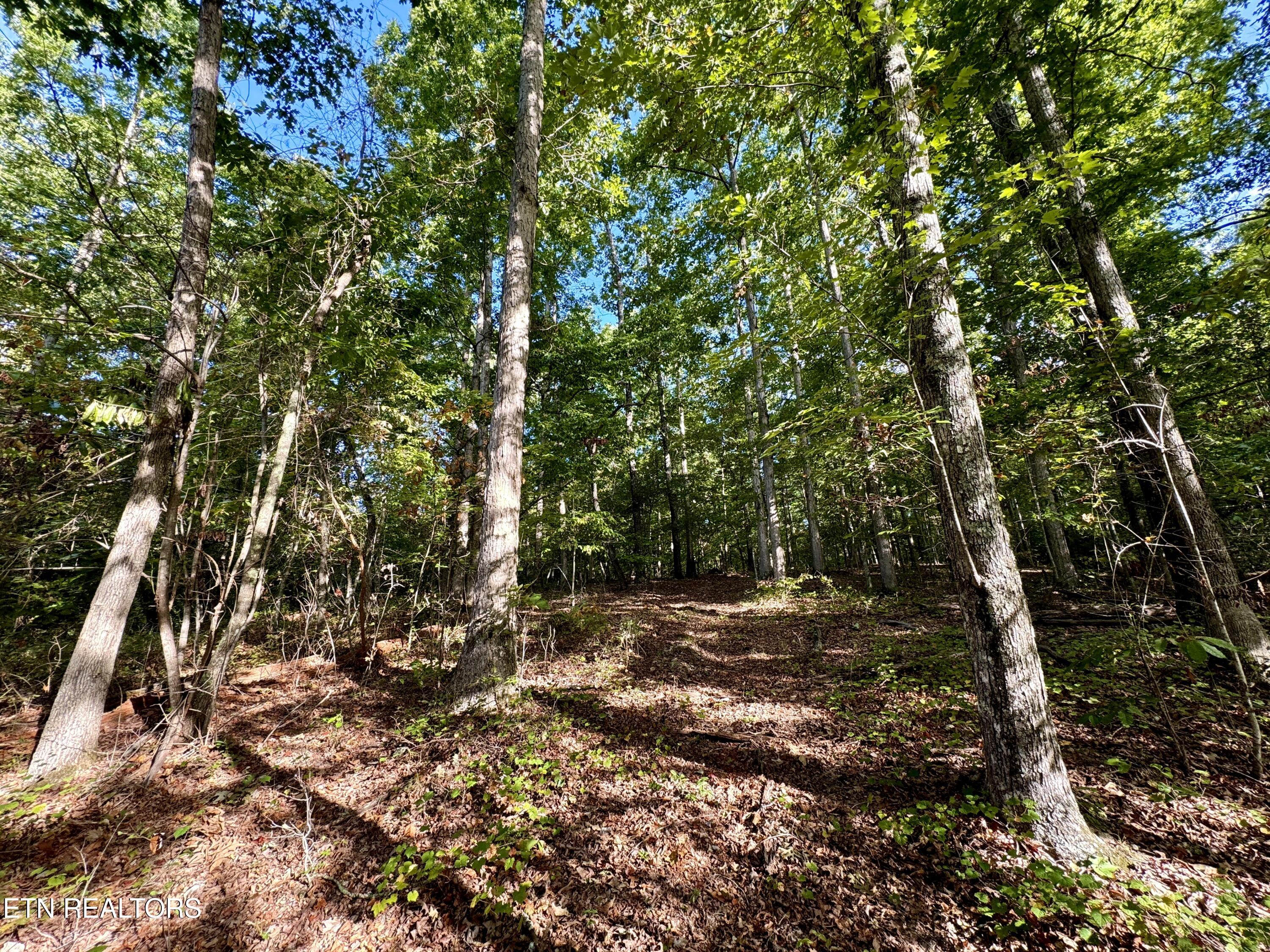 148 Cate Road Kingston TN 37763