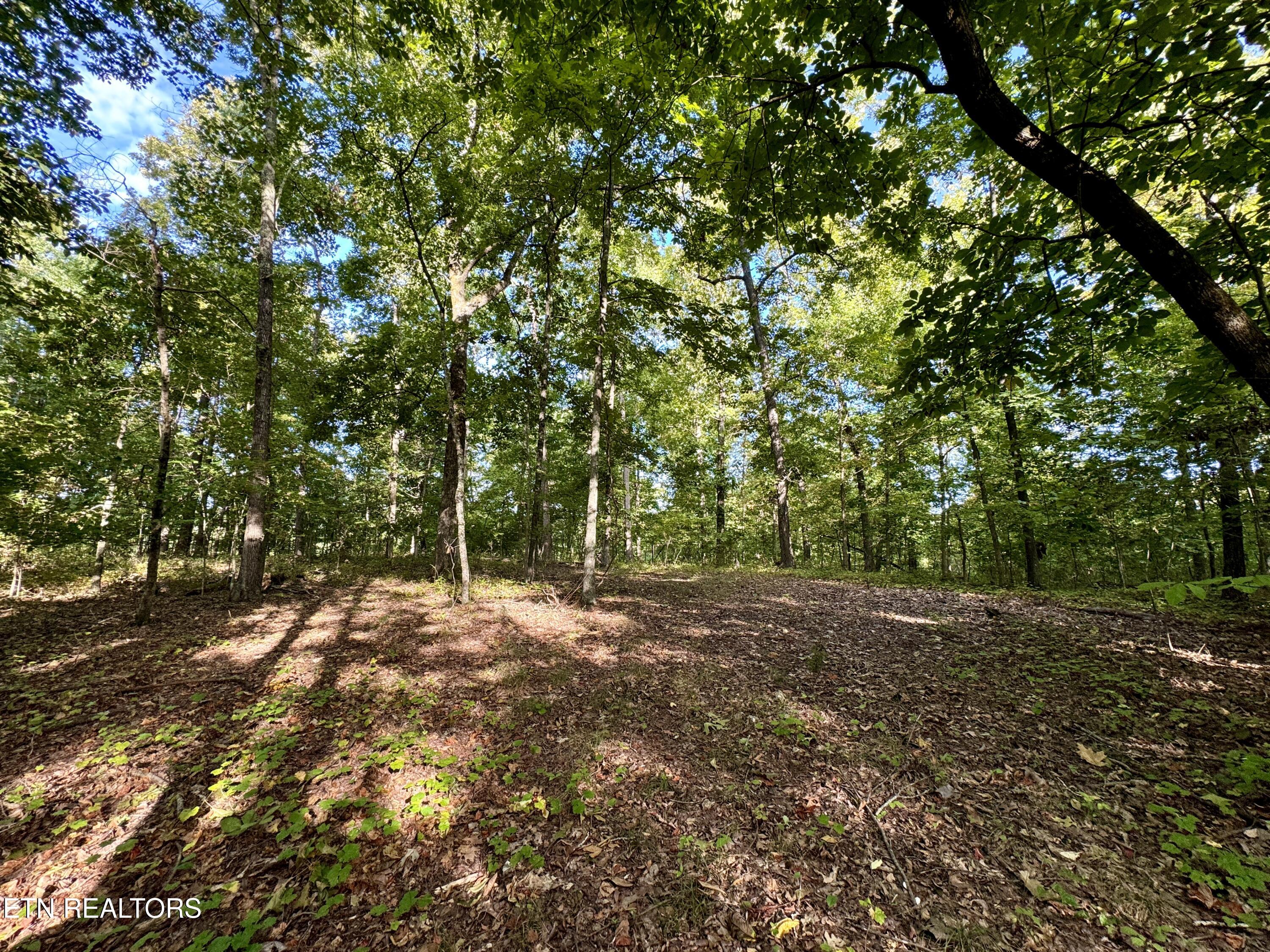 148 Cate Road Kingston TN 37763