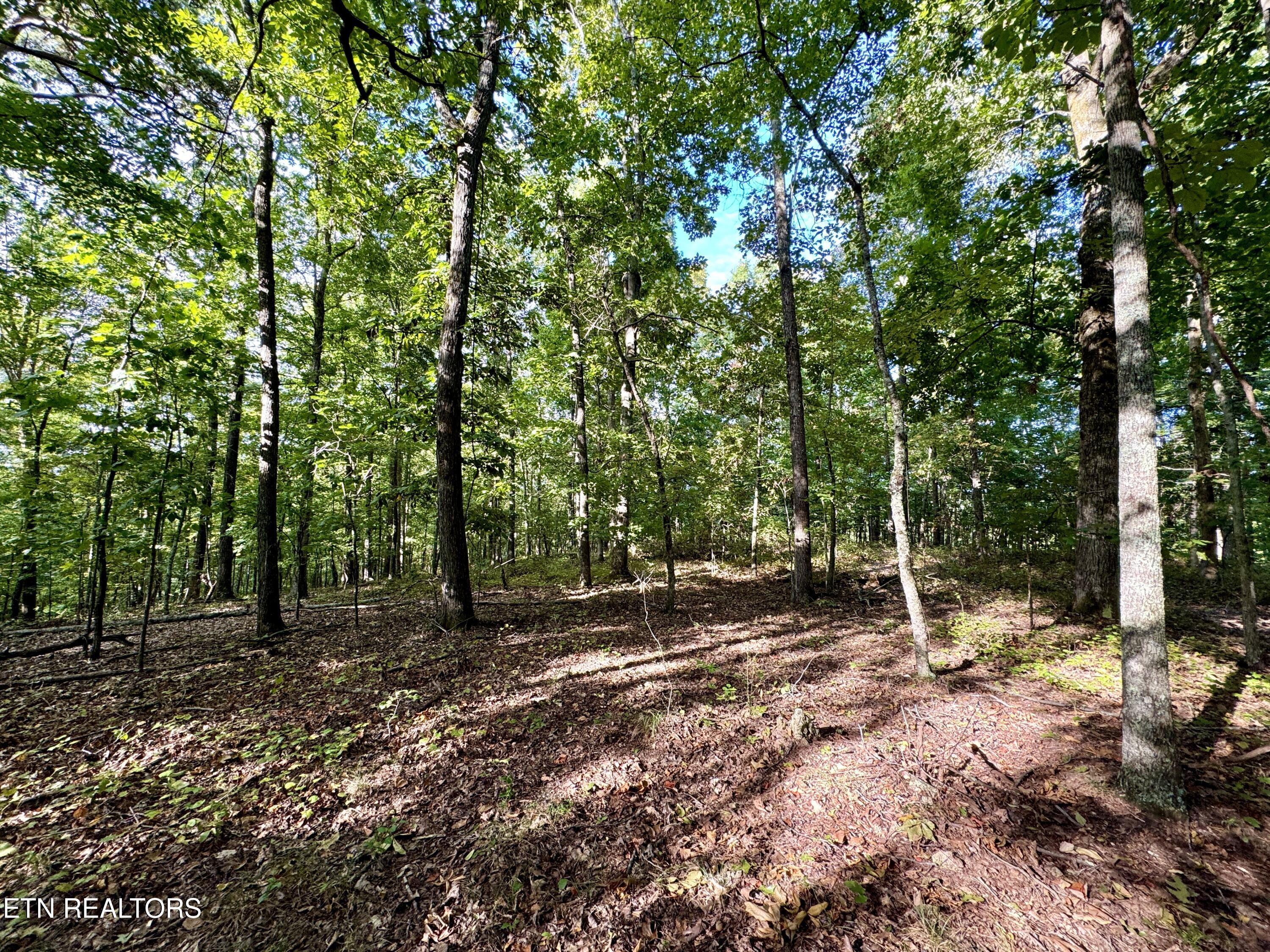 148 Cate Road Kingston TN 37763